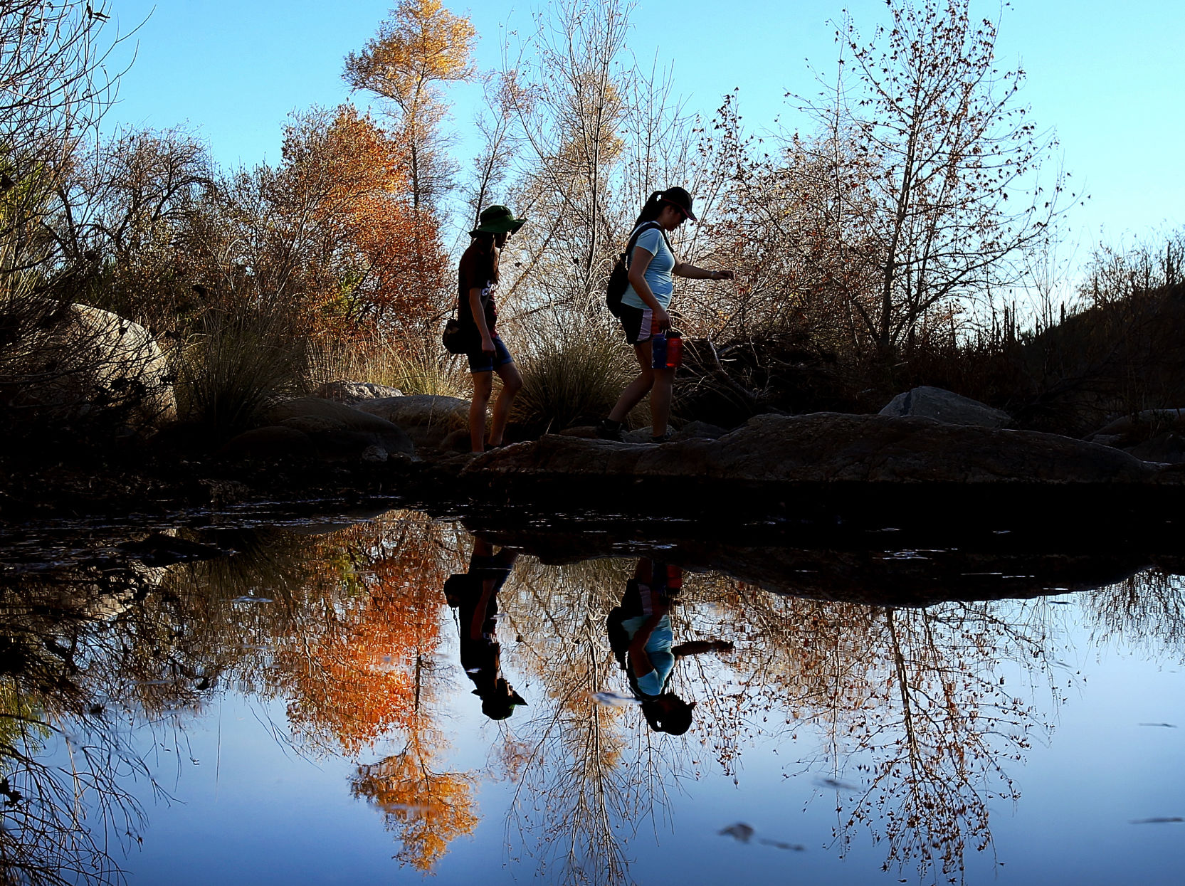 Sabino Canyon Recreation Area, Tucson